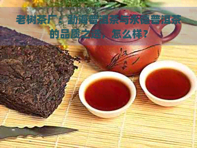 老树茶厂：勐海普洱茶与永德普洱茶的品质之选，怎么样？