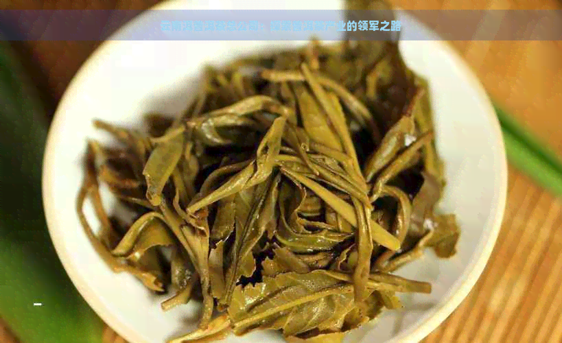 云南洱普洱茶总公司：探索普洱茶产业的领军之路