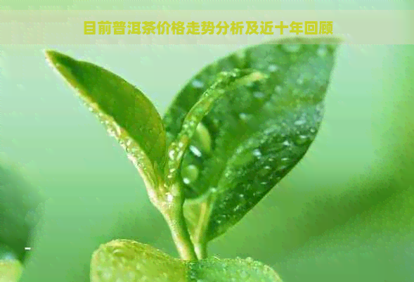 目前普洱茶价格走势分析及近十年回顾