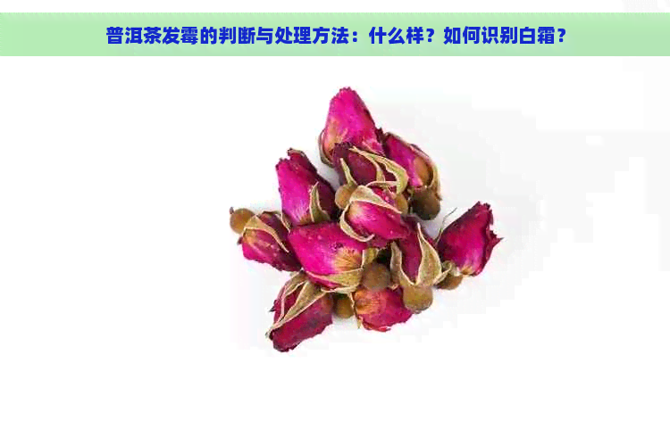 普洱茶发霉的判断与处理方法：什么样？如何识别白霜？