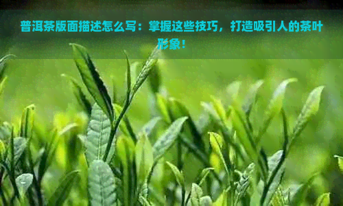 普洱茶版面描述怎么写：掌握这些技巧，打造吸引人的茶叶形象！