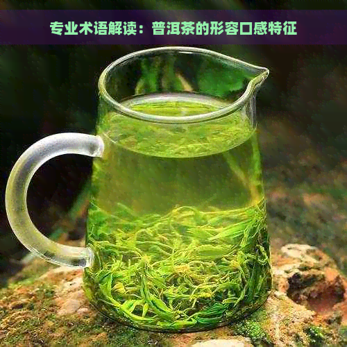 专业术语解读：普洱茶的形容口感特征