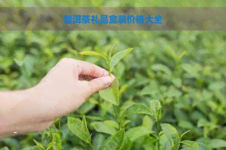 普洱茶礼品盒装价格大全