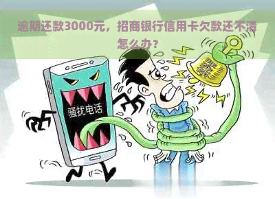 逾期还款3000元，招商银行信用卡欠款还不清怎么办？