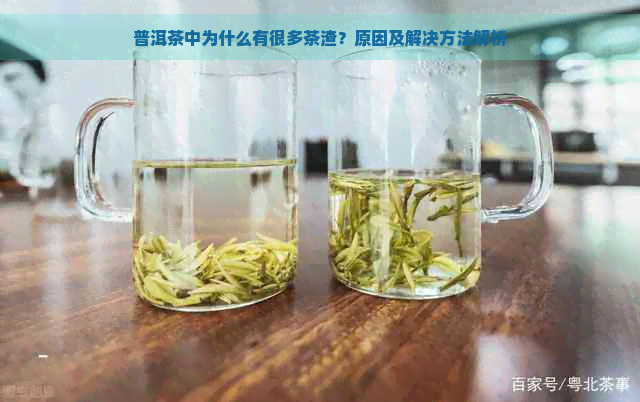 普洱茶中为什么有很多茶渣？原因及解决方法解析