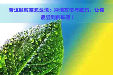 普洱颗粒茶怎么泡：冲泡方法与技巧，让你品尝到的味道！