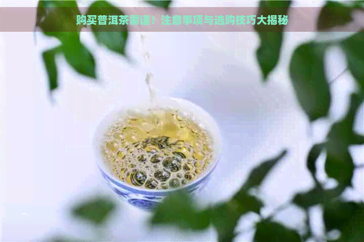 购买普洱茶需谨！注意事项与选购技巧大揭秘