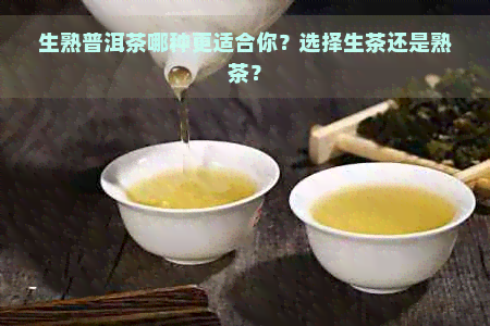 生熟普洱茶哪种更适合你？选择生茶还是熟茶？