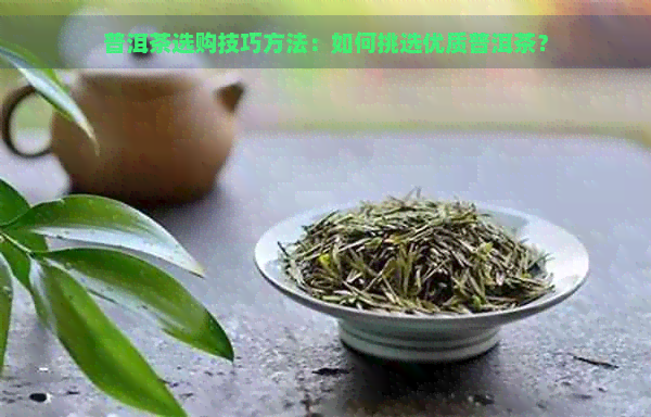 普洱茶选购技巧方法：如何挑选优质普洱茶？