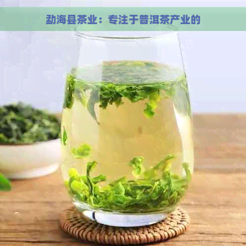 勐海县茶业：专注于普洱茶产业的