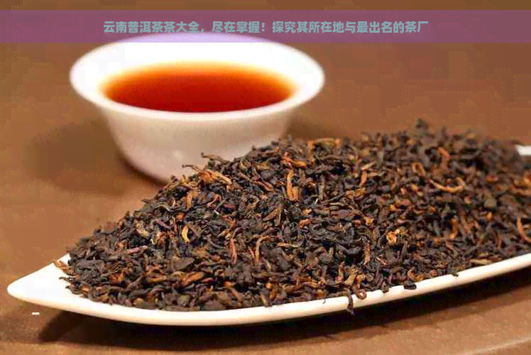 云南普洱茶茶大全，尽在掌握！探究其所在地与最出名的茶厂