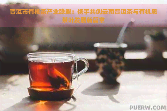 普洱市有机茶产业联盟：携手共创云南普洱茶与有机思茶叶发展新篇章