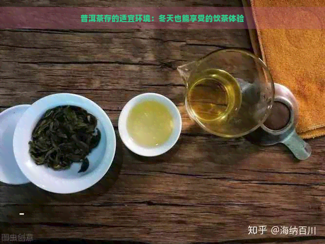 普洱茶存的适宜环境：冬天也能享受的饮茶体验