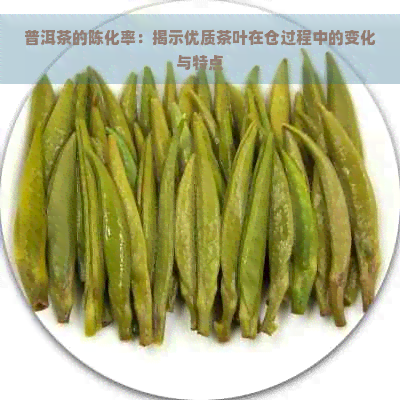 普洱茶的陈化率：揭示优质茶叶在仓过程中的变化与特点