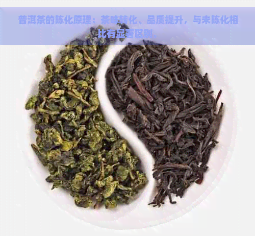 普洱茶的陈化原理：茶味转化、品质提升，与未陈化相比有显著区别。