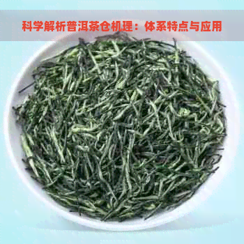 科学解析普洱茶仓机理：体系特点与应用