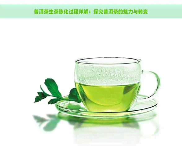 普洱茶生茶陈化过程详解：探究普洱茶的魅力与转变