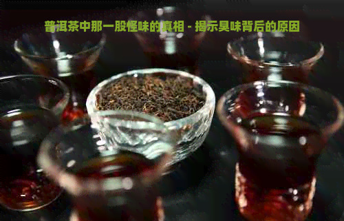 普洱茶中那一股怪味的真相 - 揭示臭味背后的原因