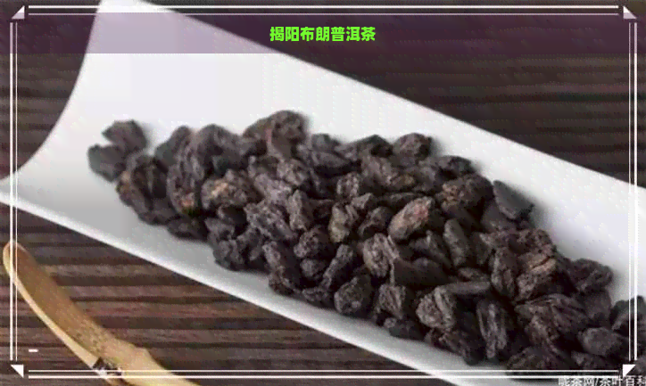 揭阳布朗普洱茶