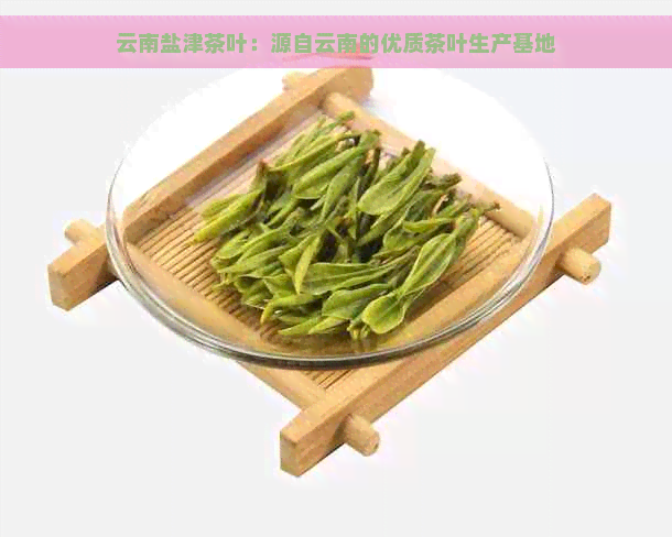 云南盐津茶叶：源自云南的优质茶叶生产基地