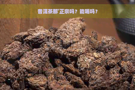 普洱茶那'正宗吗？能喝吗？