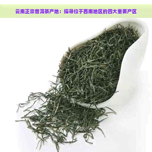 云南正宗普洱茶产地：探寻位于西南地区的四大重要产区