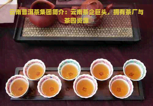 云南普洱茶集团简介：云南茶企巨头，拥有茶厂与茶园资源