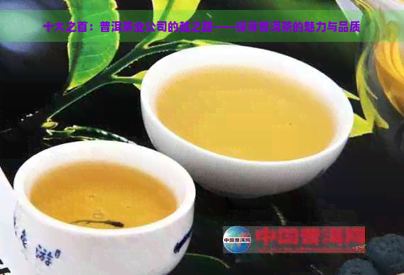 十大之首：普洱茶业公司的越之路——探寻普洱茶的魅力与品质