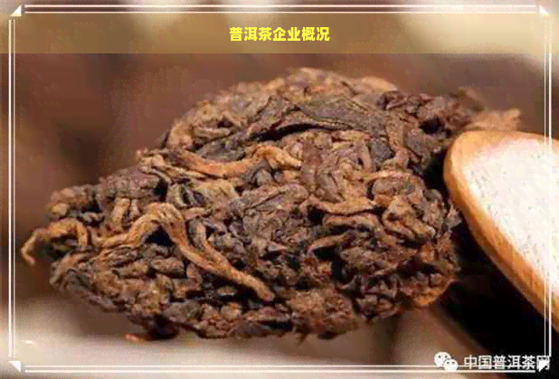 普洱茶企业概况