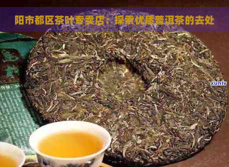 阳市都区茶叶专卖店：探索优质普洱茶的去处