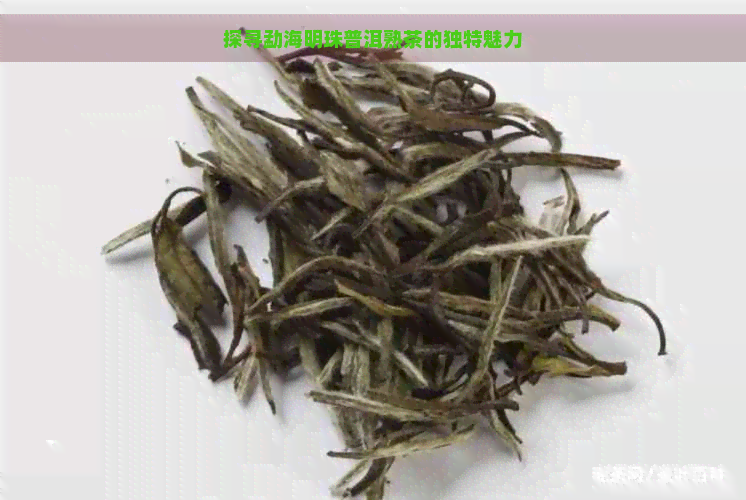 探寻勐海明珠普洱熟茶的独特魅力