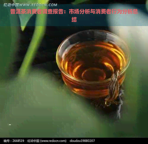 普洱茶消费者调查报告：市场分析与消费者行为分析总结