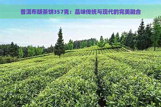 普洱布朗茶饼357克：品味传统与现代的完美融合