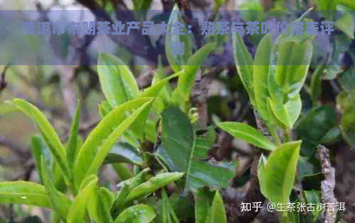 普洱市布朗茶业产品大全：熟茶与茶叶价格表评测