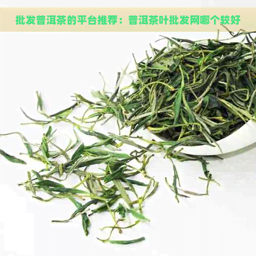 批发普洱茶的平台推荐：普洱茶叶批发网哪个较好