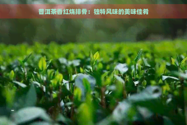 普洱茶香红烧排骨：独特风味的美味佳肴