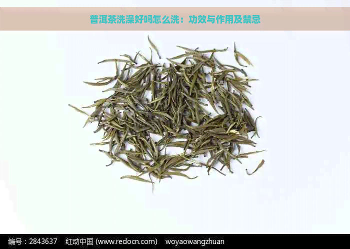 普洱茶洗澡好吗怎么洗：功效与作用及禁忌