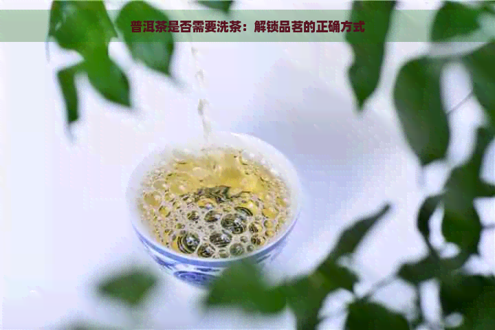 普洱茶是否需要洗茶：解锁品茗的正确方式