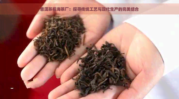 普洱茶福海茶厂：探寻传统工艺与现代生产的完美结合