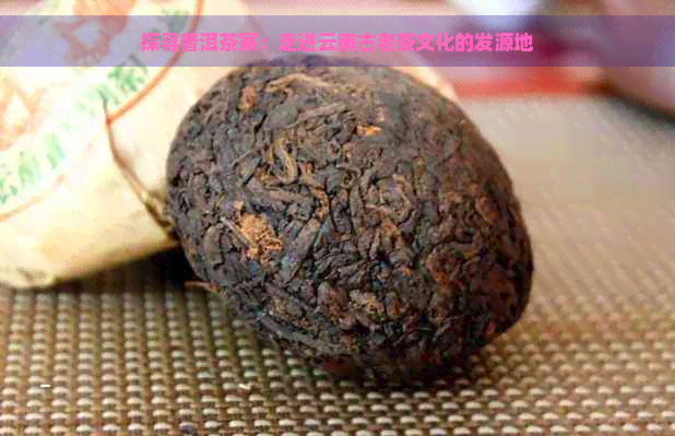 探寻普洱茶寨：走进云南古老茶文化的发源地