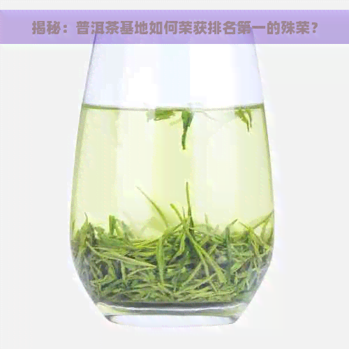 揭秘：普洱茶基地如何荣获排名之一的殊荣？