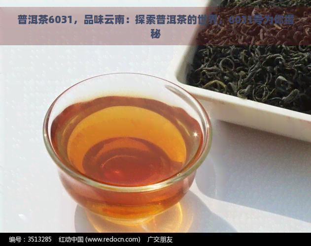 普洱茶6031，品味云南：探索普洱茶的世界，6031号为你揭秘