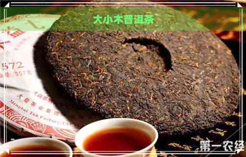 大小木普洱茶