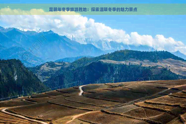 昆明年冬季旅游胜地：探索温暖冬季的魅力景点