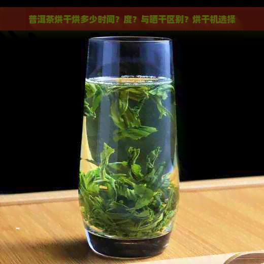 普洱茶烘干烘多少时间？度？与晒干区别？烘干机选择