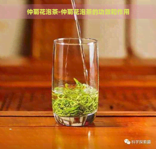 仲菊花泡茶-仲菊花泡茶的功效和作用