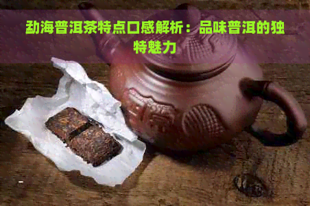 勐海普洱茶特点口感解析：品味普洱的独特魅力