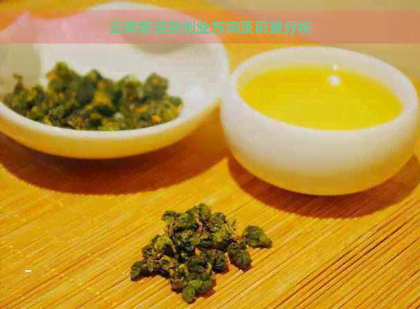 云南普洱茶创业方向及前景分析