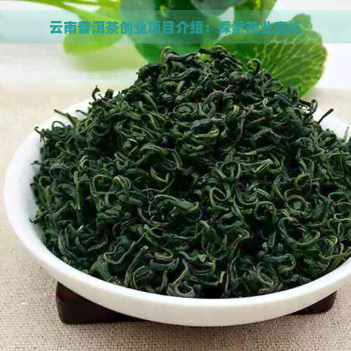 云南普洱茶创业项目介绍：探索茶业商机