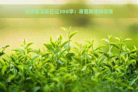 寻找普洱茶日记300字：寻觅其独特功效